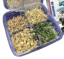 Load image into Gallery viewer, Salad Boosters 8oz