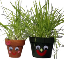 Load image into Gallery viewer, Grassheads, Sprouting Kit for Kids