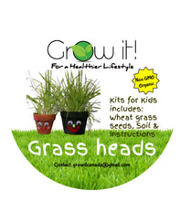 Load image into Gallery viewer, Grassheads, Sprouting Kit for Kids