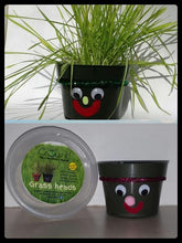 Load image into Gallery viewer, Grassheads, Sprouting Kit for Kids