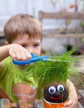 Load image into Gallery viewer, Grassheads, Sprouting Kit for Kids