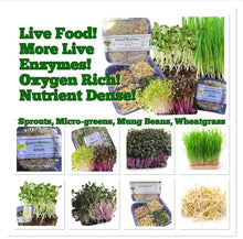 Load image into Gallery viewer, Microgreen Kit