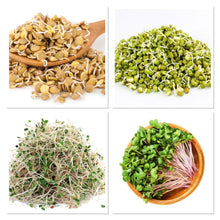 Load image into Gallery viewer, Salad Boosters 8oz