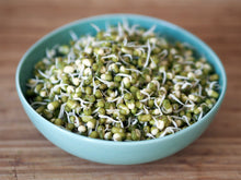 Load image into Gallery viewer, Mung Bean Seeds, Non GMO & Organic