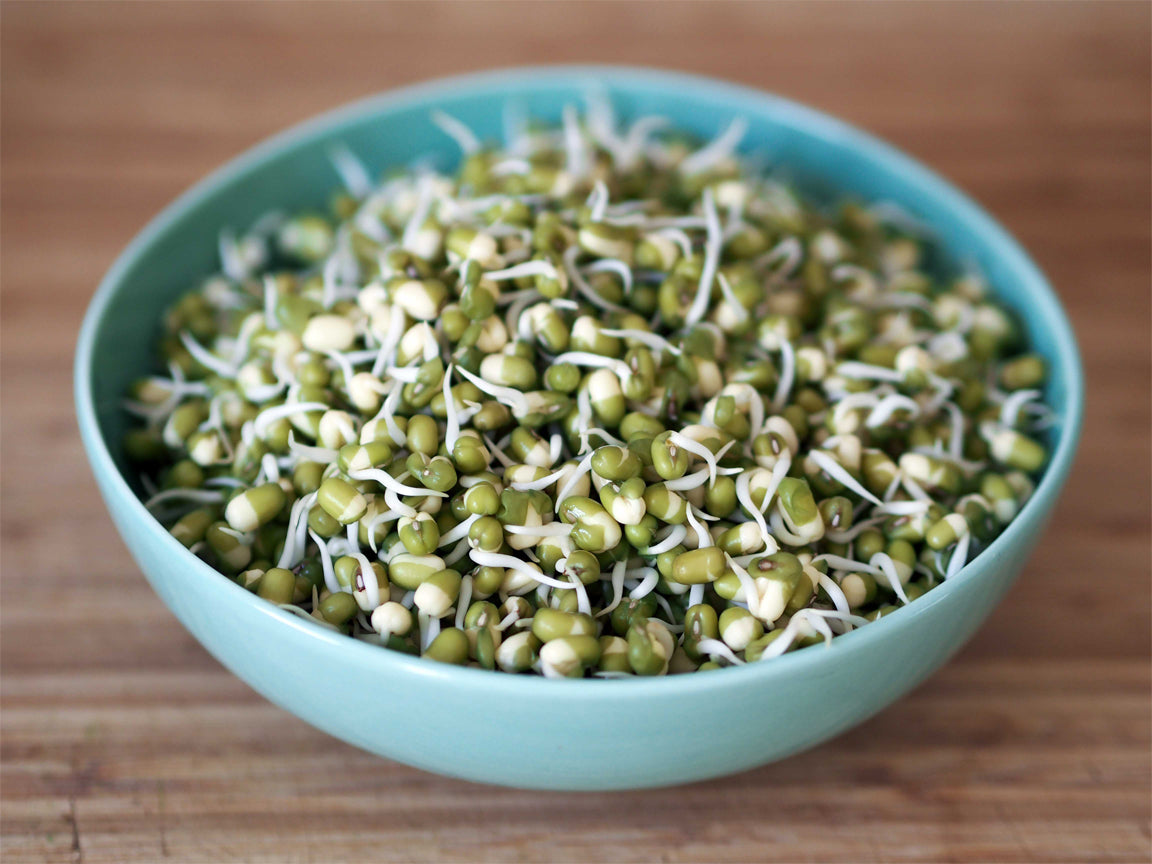 Handy Pantry Organic Mung Bean Sprouting Seeds, 16 Oz - Fred Meyer