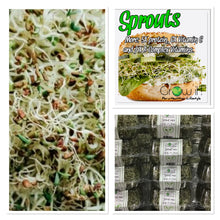 Load image into Gallery viewer, Alfalfa Sprouts 4oz