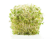 Load image into Gallery viewer, Alfalfa Sprouts 4oz