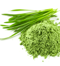 Load image into Gallery viewer, Wheatgrass Powder, Organic