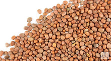 Load image into Gallery viewer, Radish Seeds, Non GMO