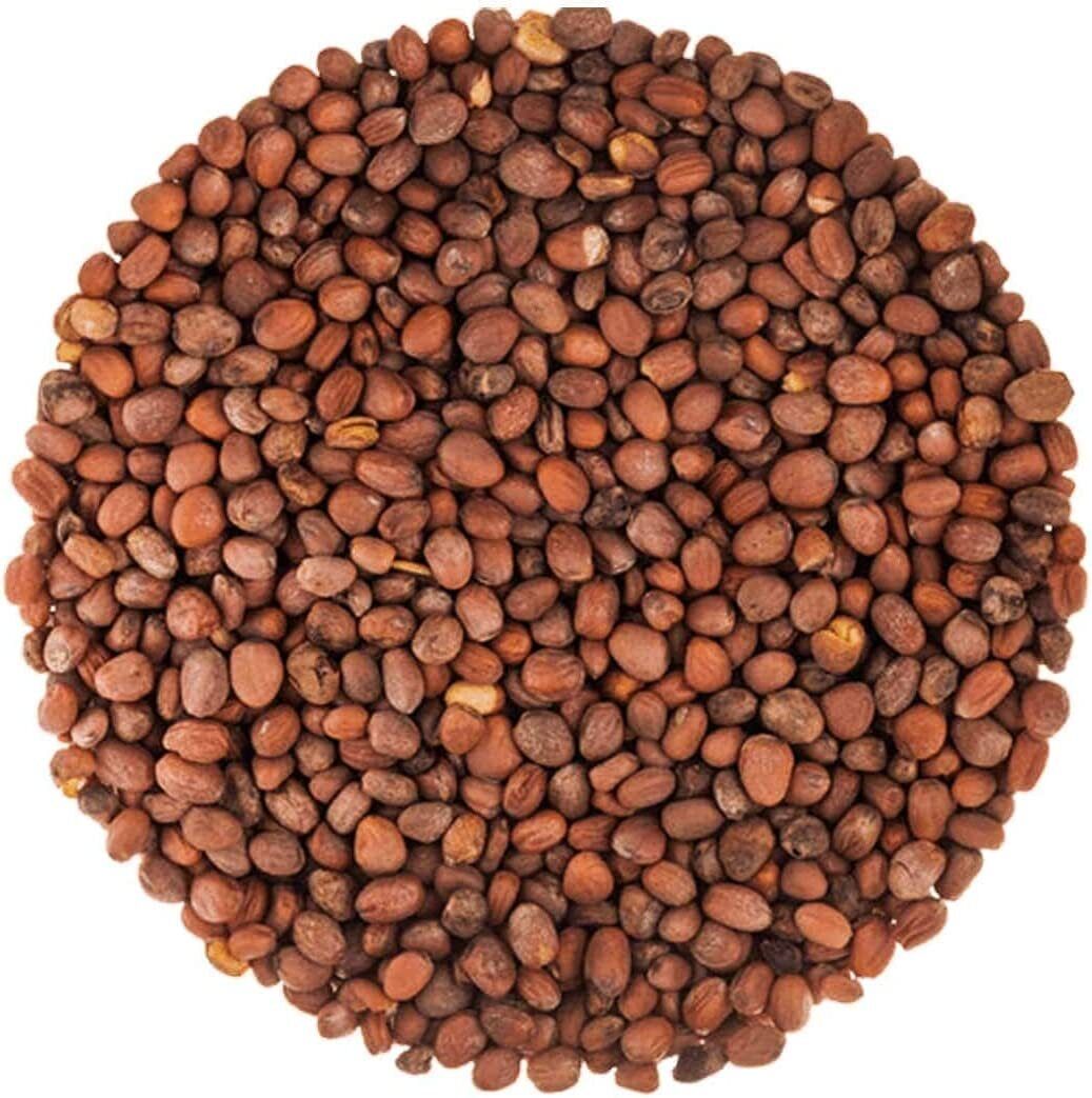Radish Seeds, Non GMO