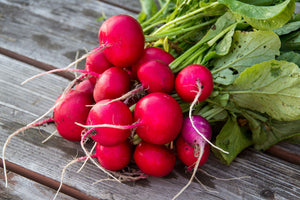 Radish Seeds