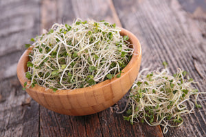 Broccoli Seeds