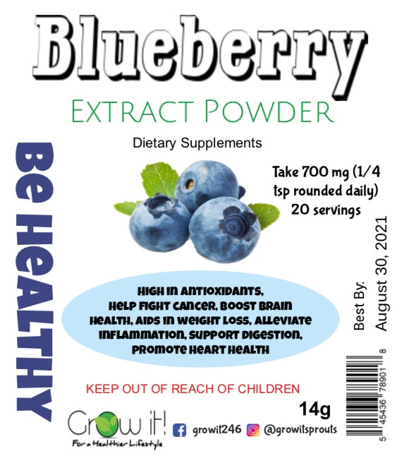 Blueberry Extract Powder