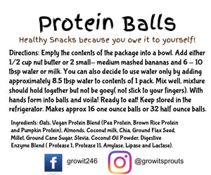 Vegan Protein Balls - Coconut Almond 10oz