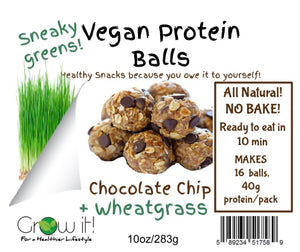 Vegan Protein Balls - Sneaky Greens 10oz