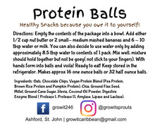 Load image into Gallery viewer, Vegan Protein Balls - Chocolate Chip 10oz
