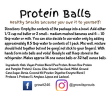 Load image into Gallery viewer, Vegan Protein Balls - Cocoa 9.5oz
