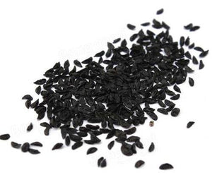 Leek Seeds