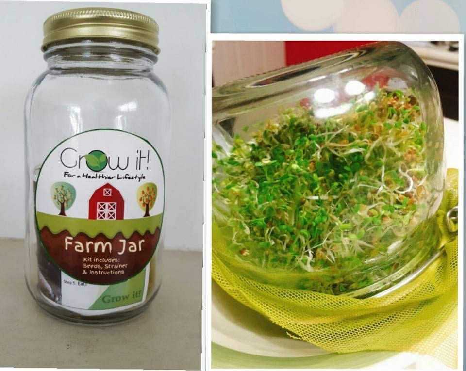 Farm Jar