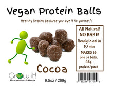 Load image into Gallery viewer, Vegan Protein Balls - Cocoa 9.5oz
